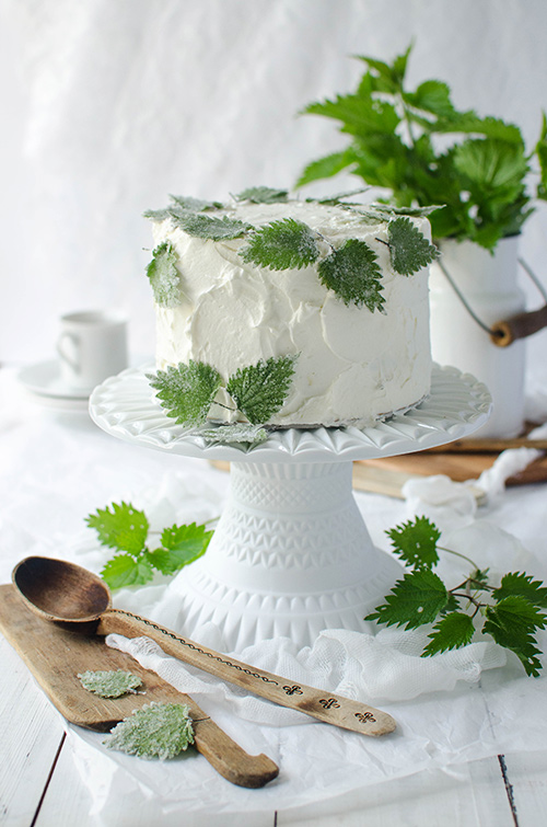 Healthy coconut nettle layer cake with mandarin compote