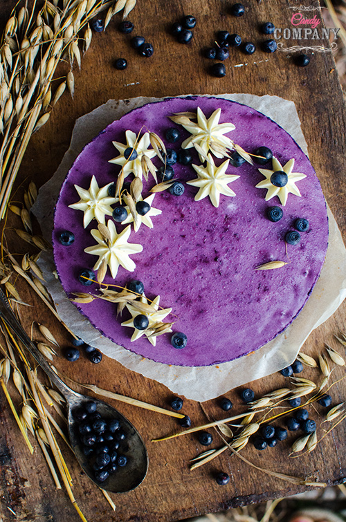 gluten free blueberry oat tart with powdered milk and buttermilk mousse