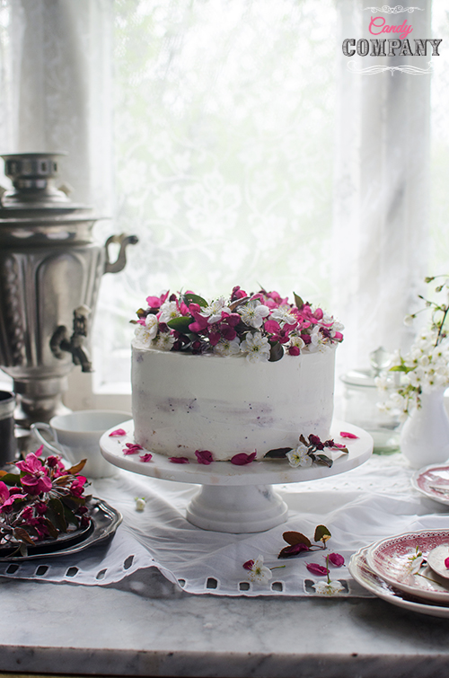 Hibiscus layer cake with rhubarb hibiscus jam. Food photography by Candy Company