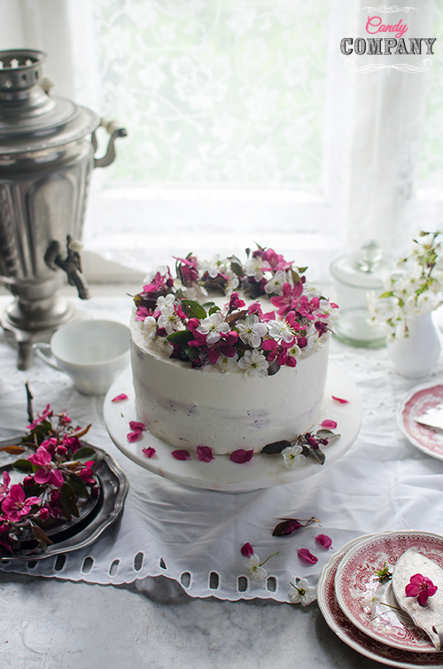 Hibiscus layer cake with rhubarb hibiscus jam. Food photography by Candy Company