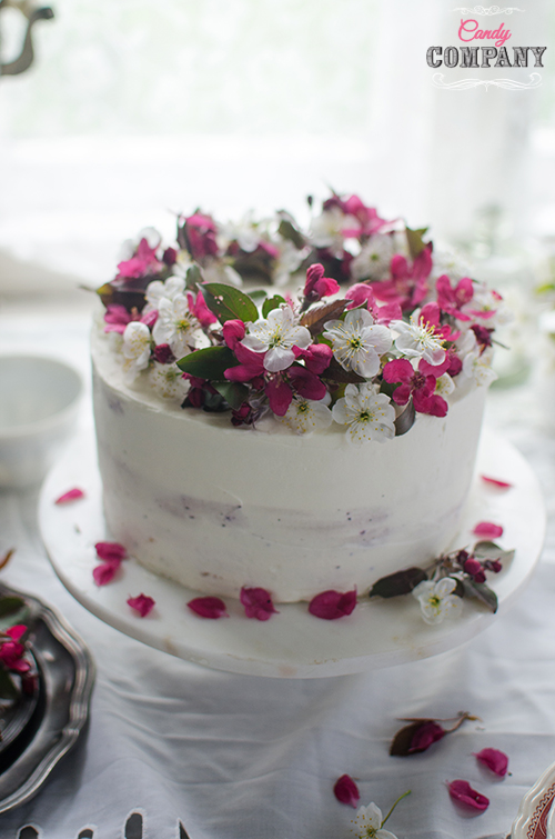 hibiscus layer cake hibiskusowy tort z rabarbarem