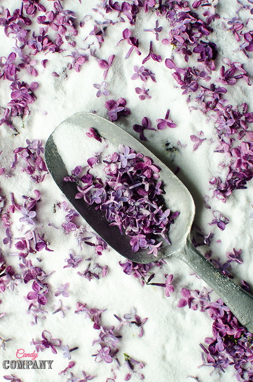 lilac sugar recipe. Food photography by Candy Company