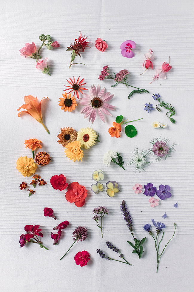 Jadalne Kwiaty Do Dekoracji Ciast Cz Ii Lato